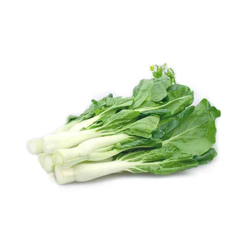 周邊蔬菜配送公司名稱