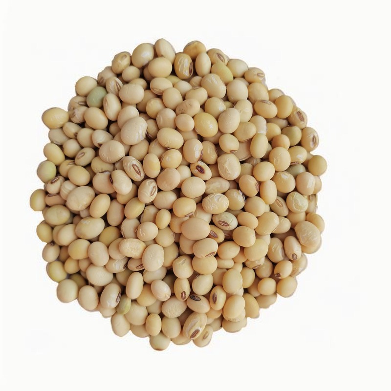 南沙飯店蔬菜配送報價表