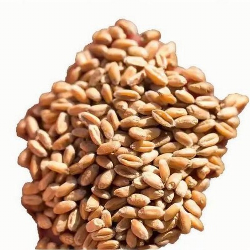 上街蔬菜配送電話號碼多少