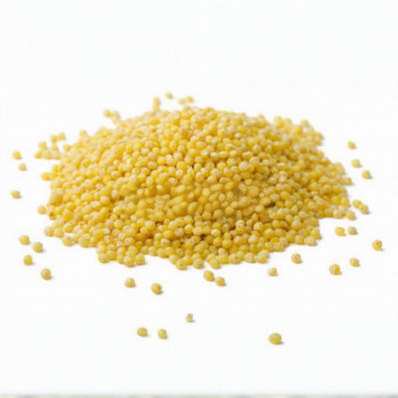 沙井步涌新鮮蔬菜配送品質(zhì)