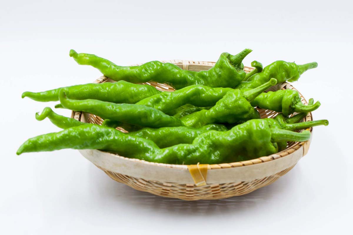 葉城縣蔬菜配送電話