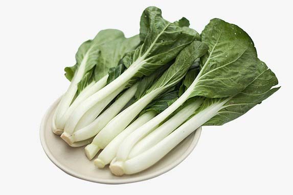 唐山市蔬菜配送公司電話