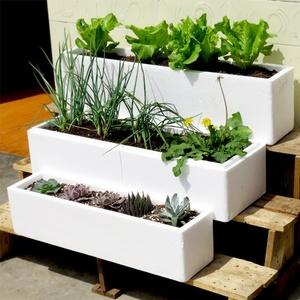 瀏家港蔬菜配送中心招聘