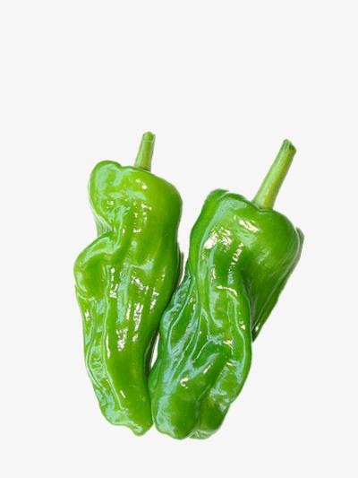 寶安區(qū)蔬菜配送企業(yè)名錄