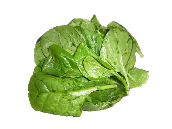 長寧區(qū)蔬菜配送歡迎咨詢