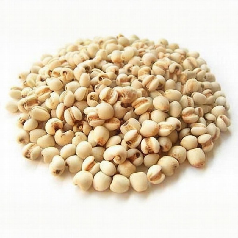 蘭州市社區(qū)配送蔬菜公司