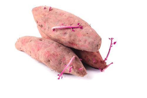 蘭州蔬菜配送技巧培訓(xùn)班