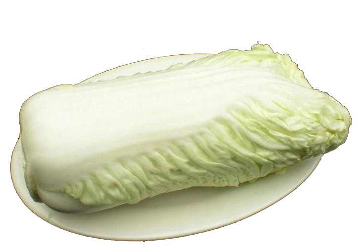 南明區(qū)附近蔬菜配送平臺